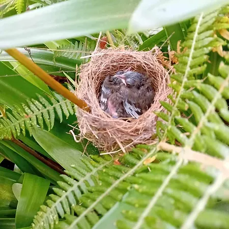 Varanda Encantada House Dom wakacyjny *